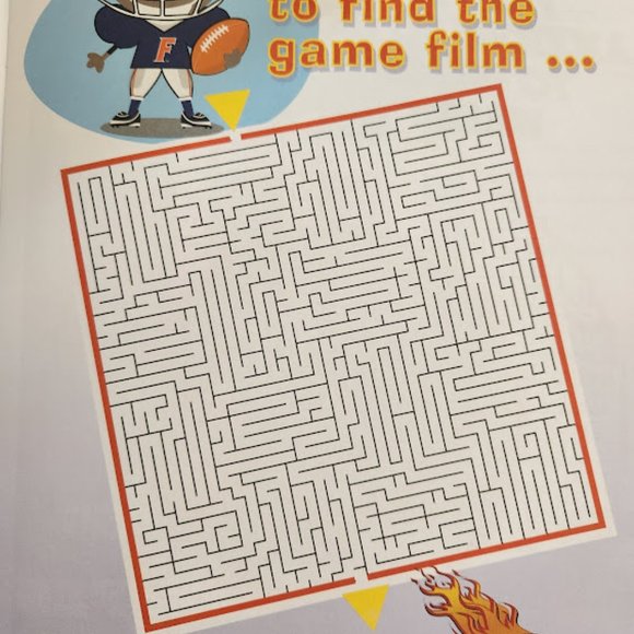 Go Gators Activity Book and App by Darla Hall paperback - Picture 9 of 9